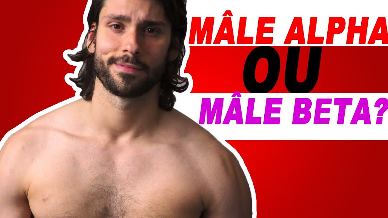 Etes-vous un mâle Alpha ?