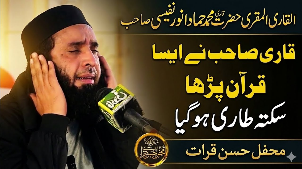 قاری حماد انور نفیسی صاحب|| بہت خوبصورت تلاوت