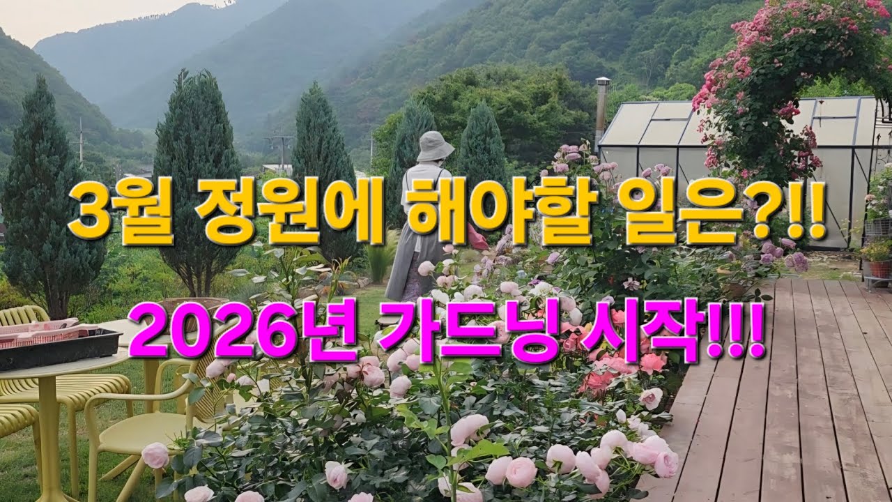 3월정원 필수템 | 장미 전지하는법 | 잠자는 정원 깨우기 | 묵은가지와 묵은잎 정리 | 퇴비주기 |정원브이로그 | 1인가구 | 반려견과 함께