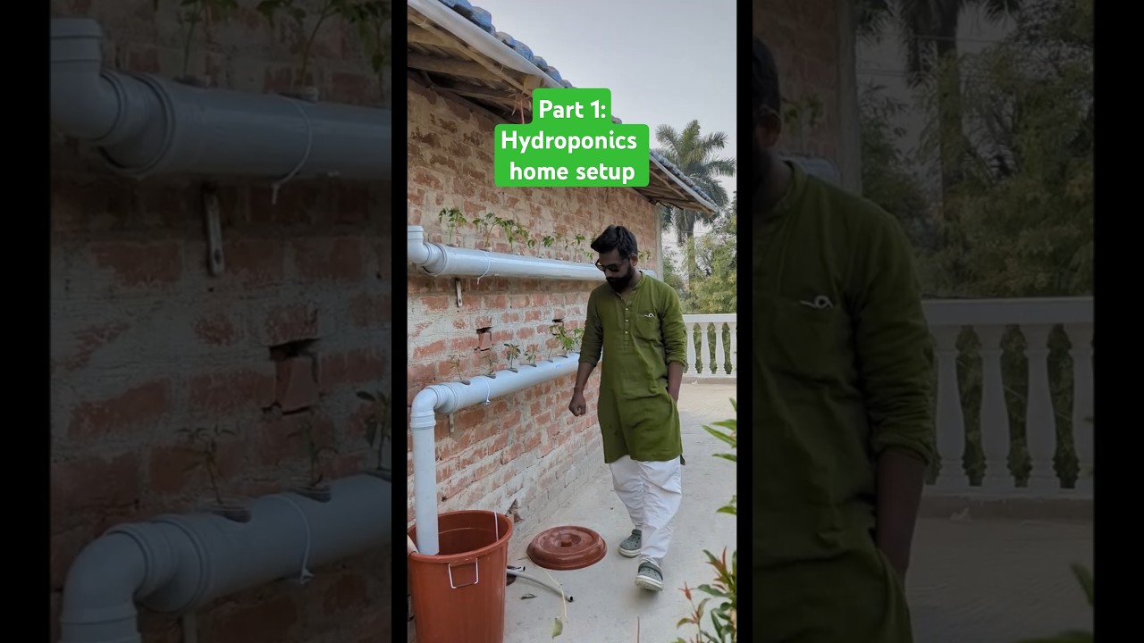Part 1 : Hydroponics technique #terracegarderning #hydroponics #plants #aquaponics