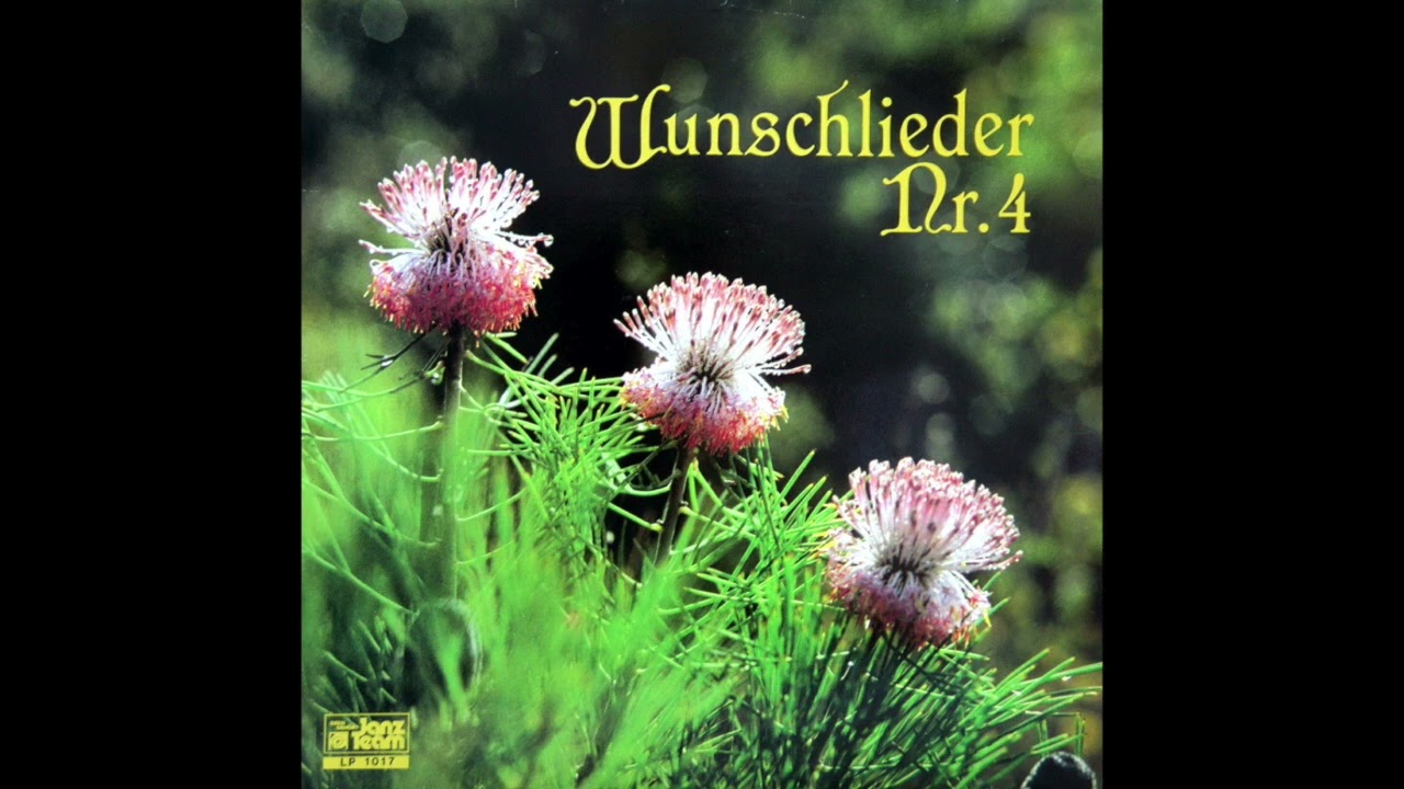03 Jesus Christus kennt dich - Janz Team Wunschlieder Nr  4
