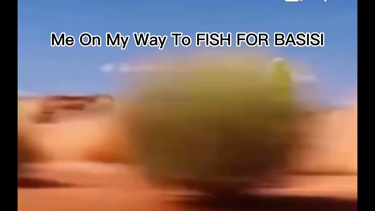 #capcut #fish #fishing #bassfishing #bass # basisi