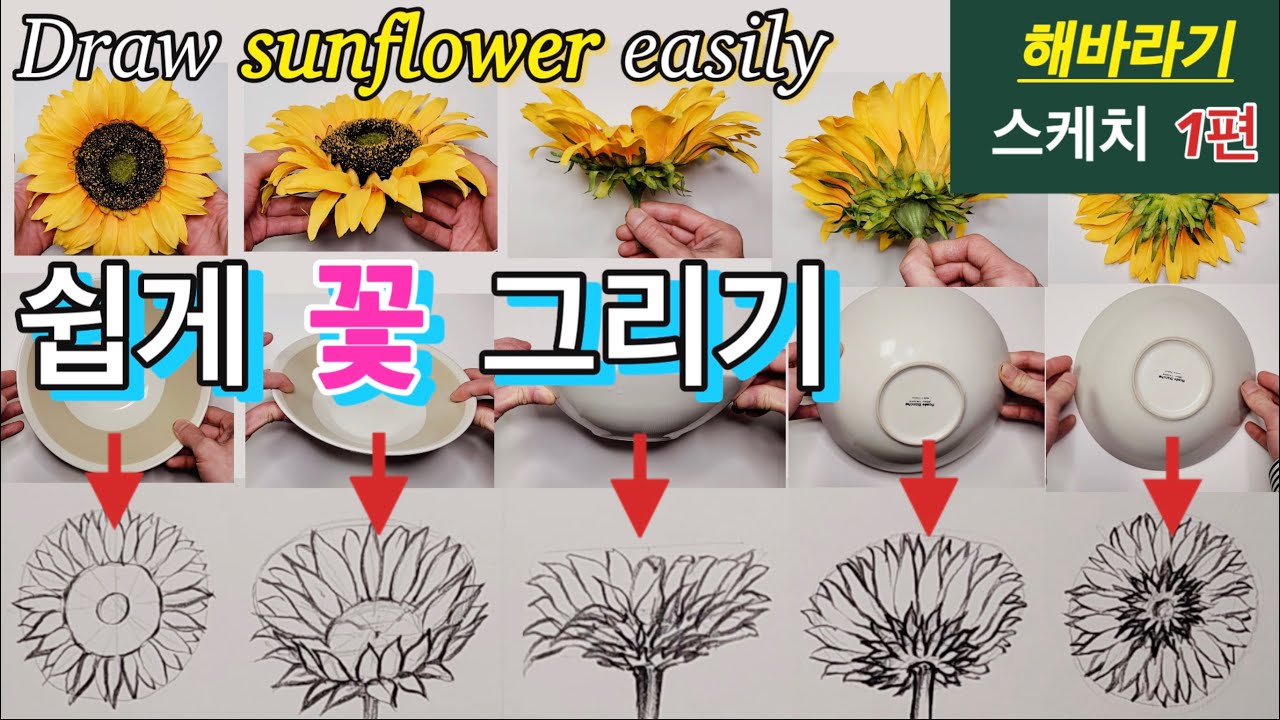초보자를 위한 쉽게 꽃 그리기 강좌 / 쉽게 해바라기 그리기 1편 / 꽃 잘그리는 방법 /Draw sunflower sketch / 쉽게 꽃 그리기 / 같이그려요/해바라기 그리기