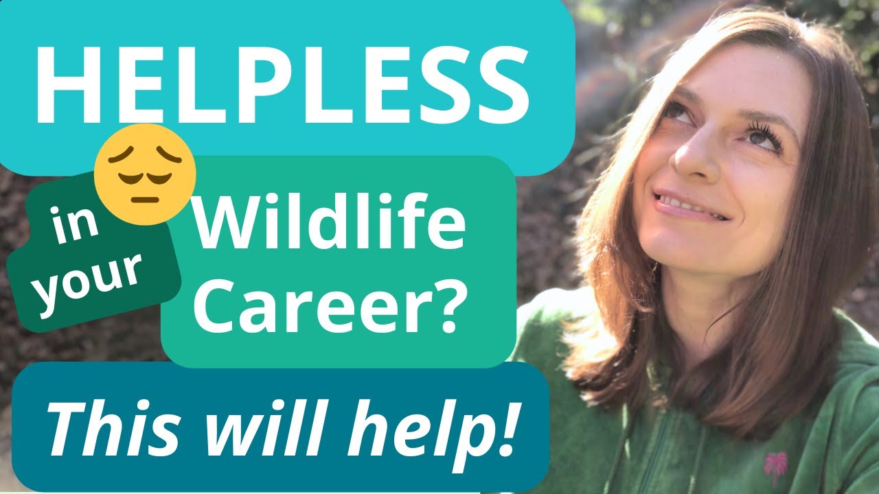 Breaking through Wildlife Career Despair: Why Helpless Thinking Won&rsquo;t Actually Help