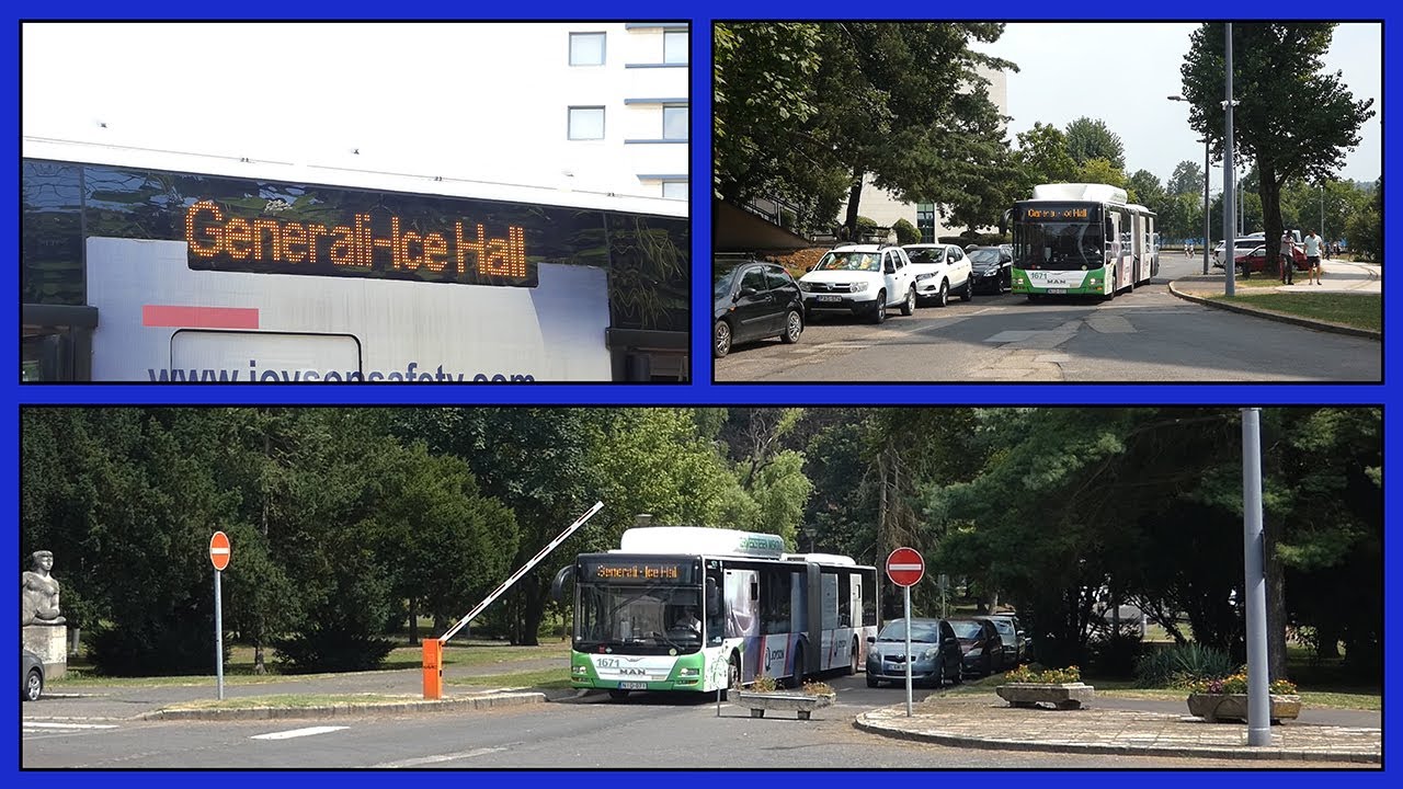 EUG 2024 transzferjáratok - Buszközlekedés az Egyetemváros 