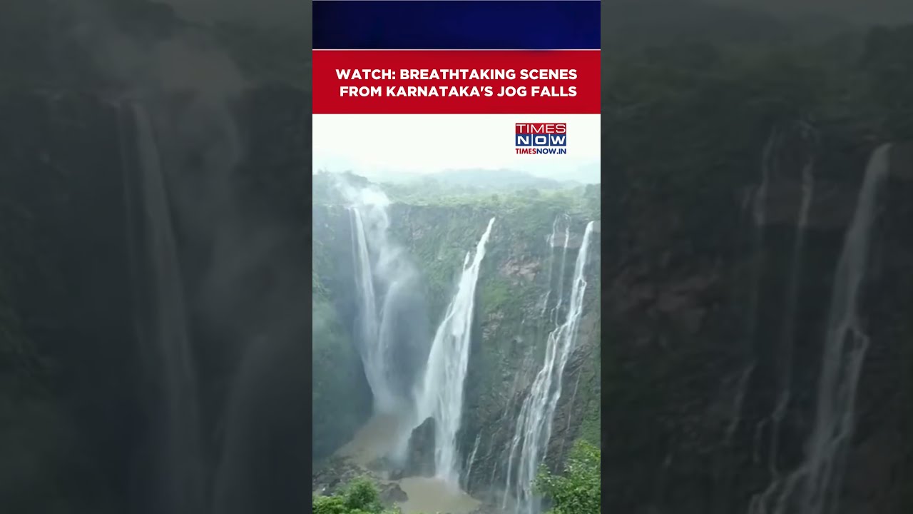 Karnataka: Tourists Flock To Witness Magnificent Jog Falls Amid Monsoon Revival #shorts