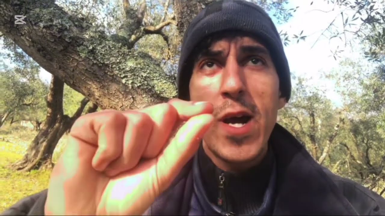 كان تخمم تجي تخدم فلاحة في ايطاليا شوف هذا الفيديو قبل ماتندم 🇮🇹