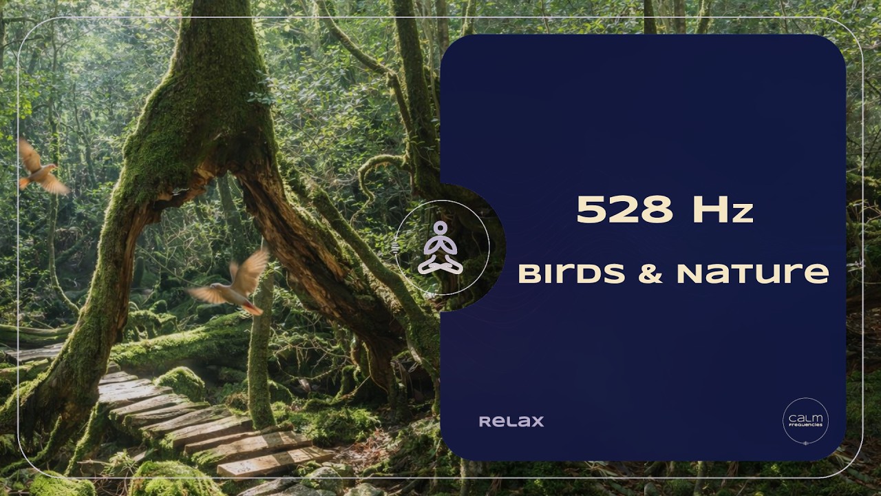 Relax | 528 Hz Healing Frequency — Forest Birds & Nature Harmony
