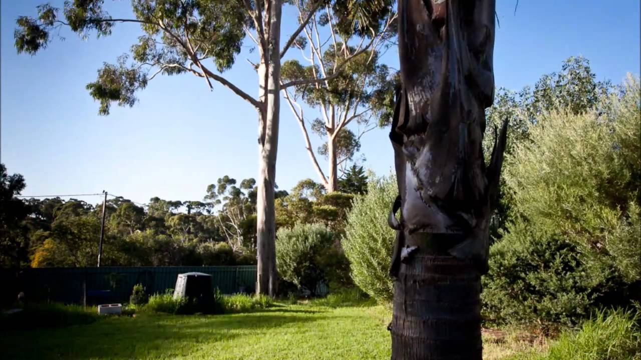 20 Metre Radius - Motion Stop lapse