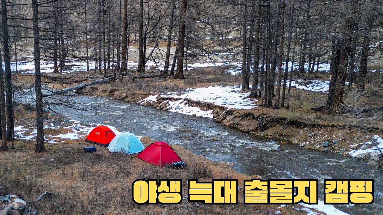 몽골 캠핑 [5] 늑대가 나오는 숲속에서 생존 백패킹