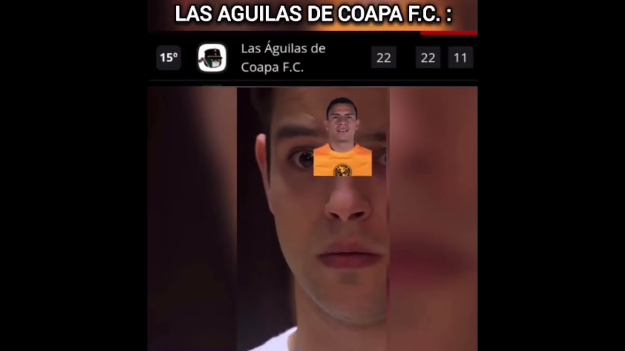Resumen de la tabla General de la Liga Bonti MX 