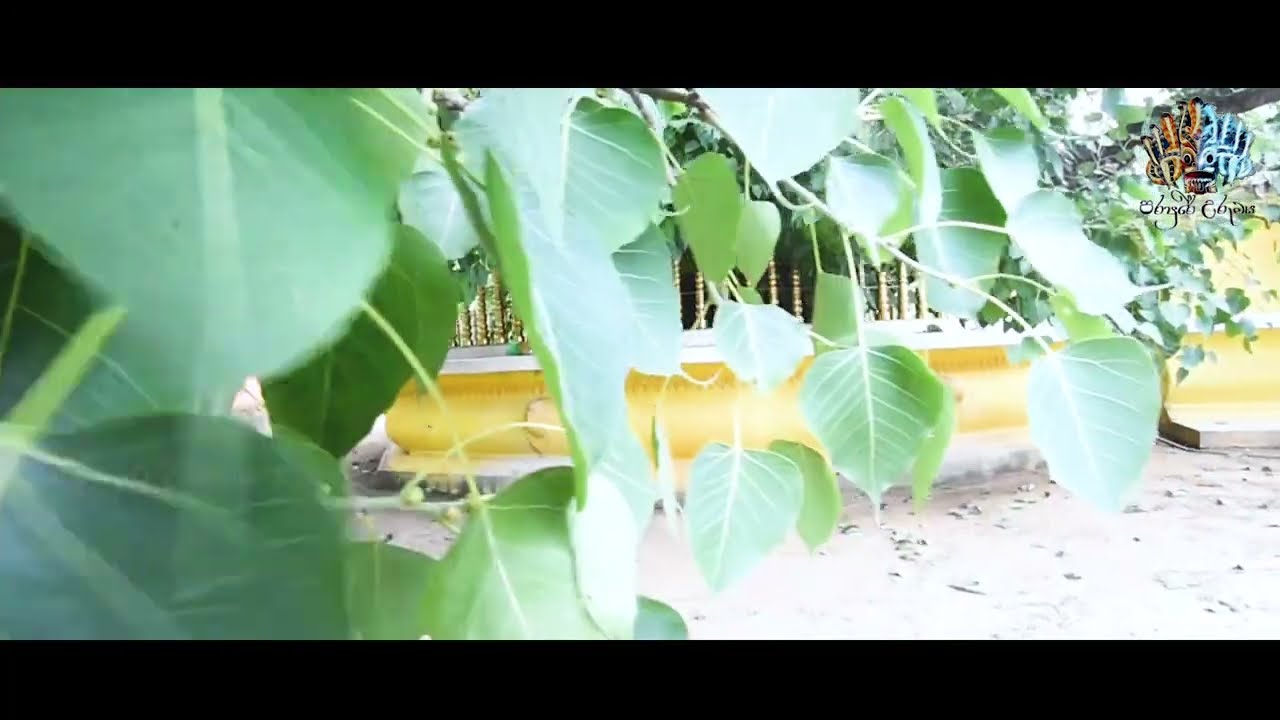 කිරිවෙහෙර රජමහා විහාරයට නම ලැබුන විදිහ.  | Kandaketiya Kirivehera Rajamaha Viharaya