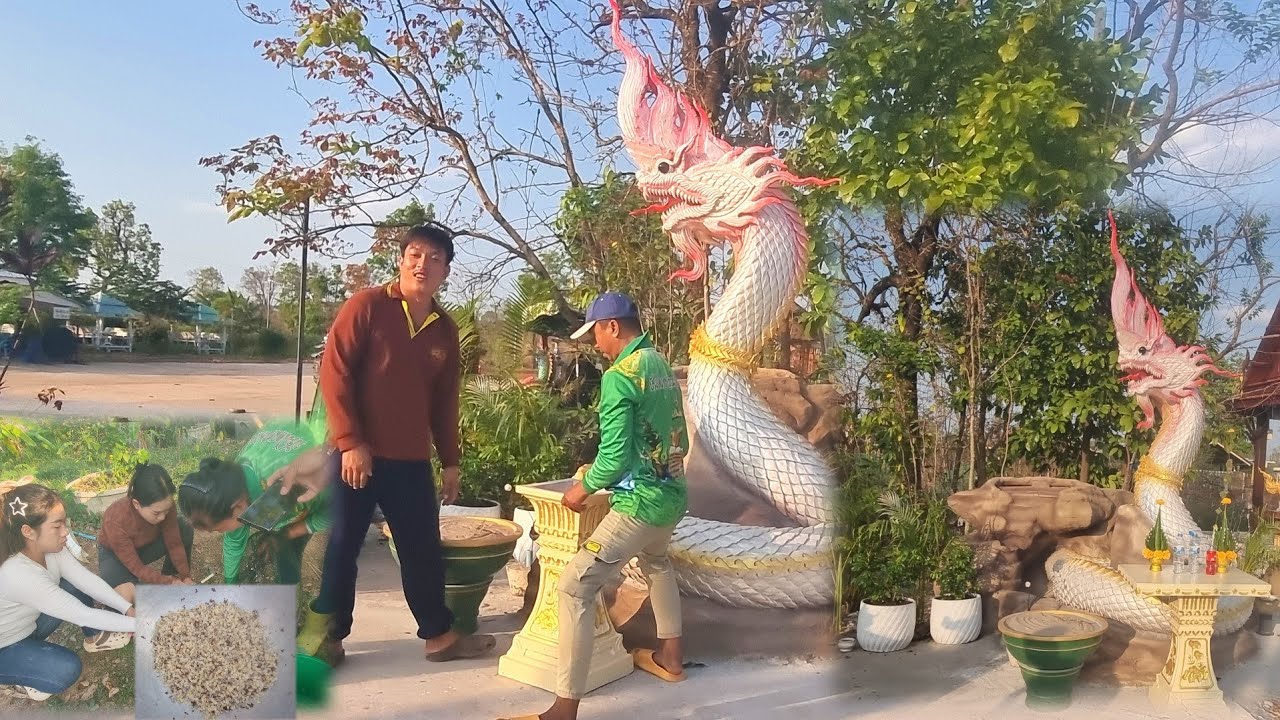 สุดขนลุก!!ใกล้บวงสรวงแม่ย่าช่อแก้วจำปาโต๊ะบูชาของใหม่มาแล้วตกแต่งบริเวณ,ตะลึง!!อาหารชั้นสูงจากที่ไหน