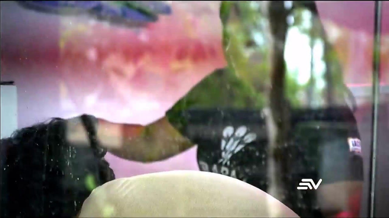 #ENVIVO🔴 | TELEVISTAZO 1PM 27-2-2026