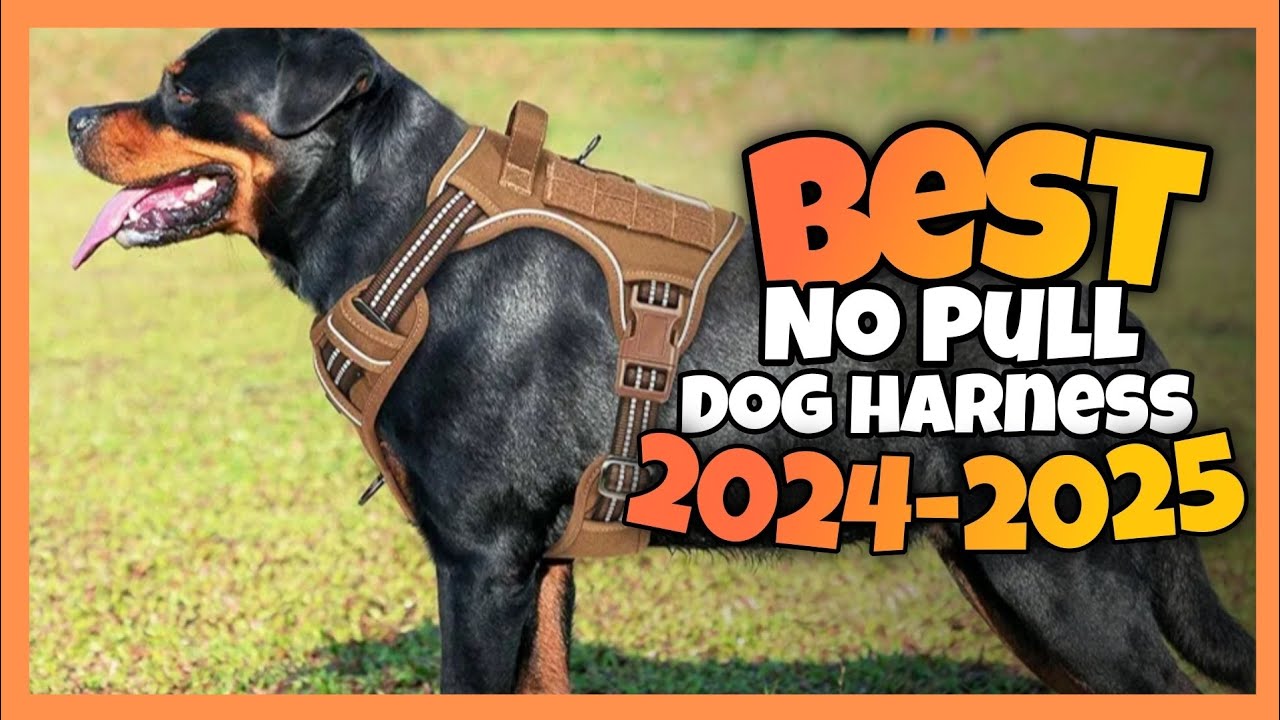 TOP 5:✅BEST No Pull DOG HARNESS for DOGS 2024-2025 #dogharness #nopulldogharness #doglashes #harness