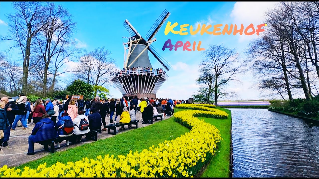 Германия Голландия Амстердам 2023 Гаага Тюльпаны Кекенхоф 2023!