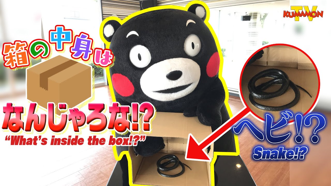 くまモンTV #114 箱の中身はなんじゃろな！？をやってみたら、大変な目にあったモン！！ ( Kumamon TV #114)
