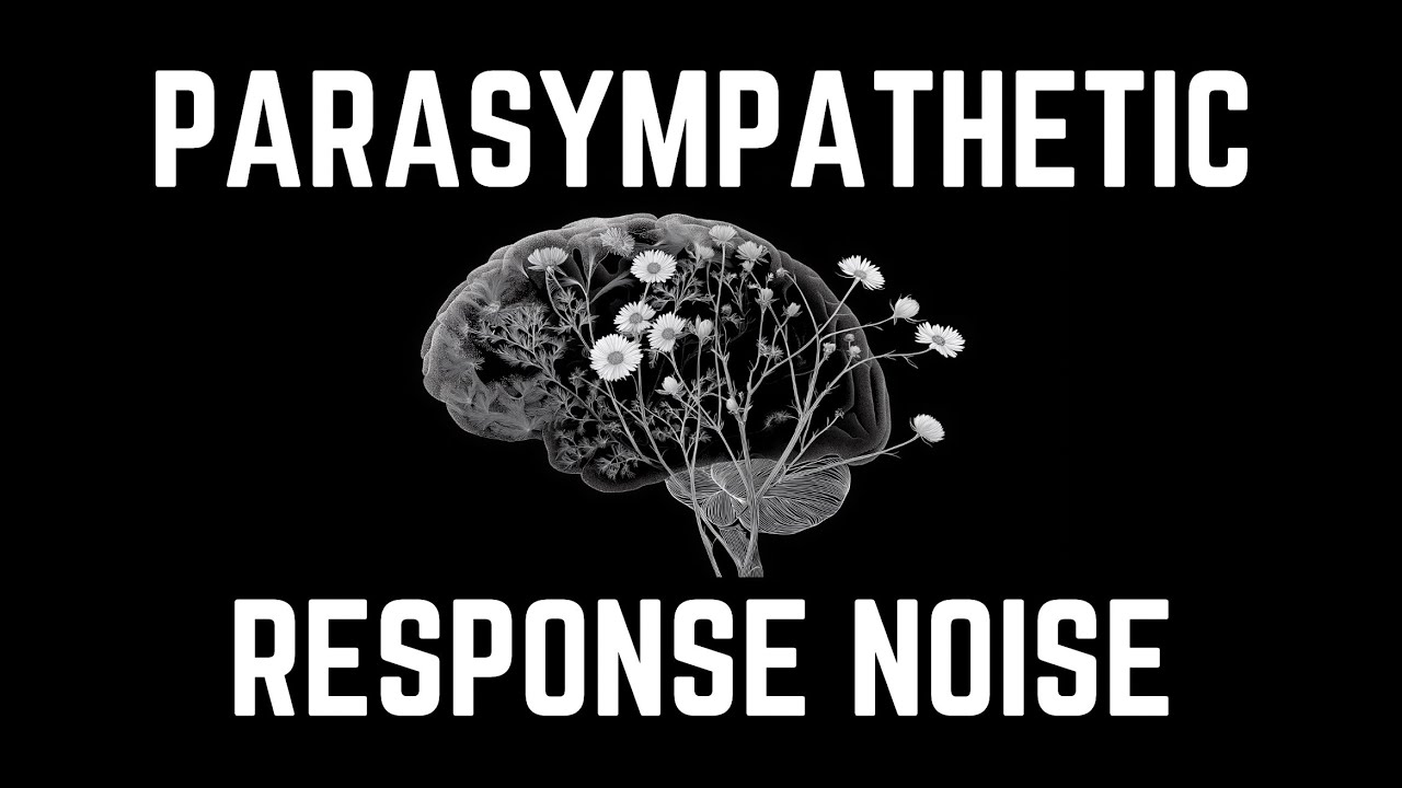 ULTRA-DEEP PARASYMPATHETIC RESPONSE NOISE | 12 Hours | Black Screen | No Midway Ads | Relax/ Sleep