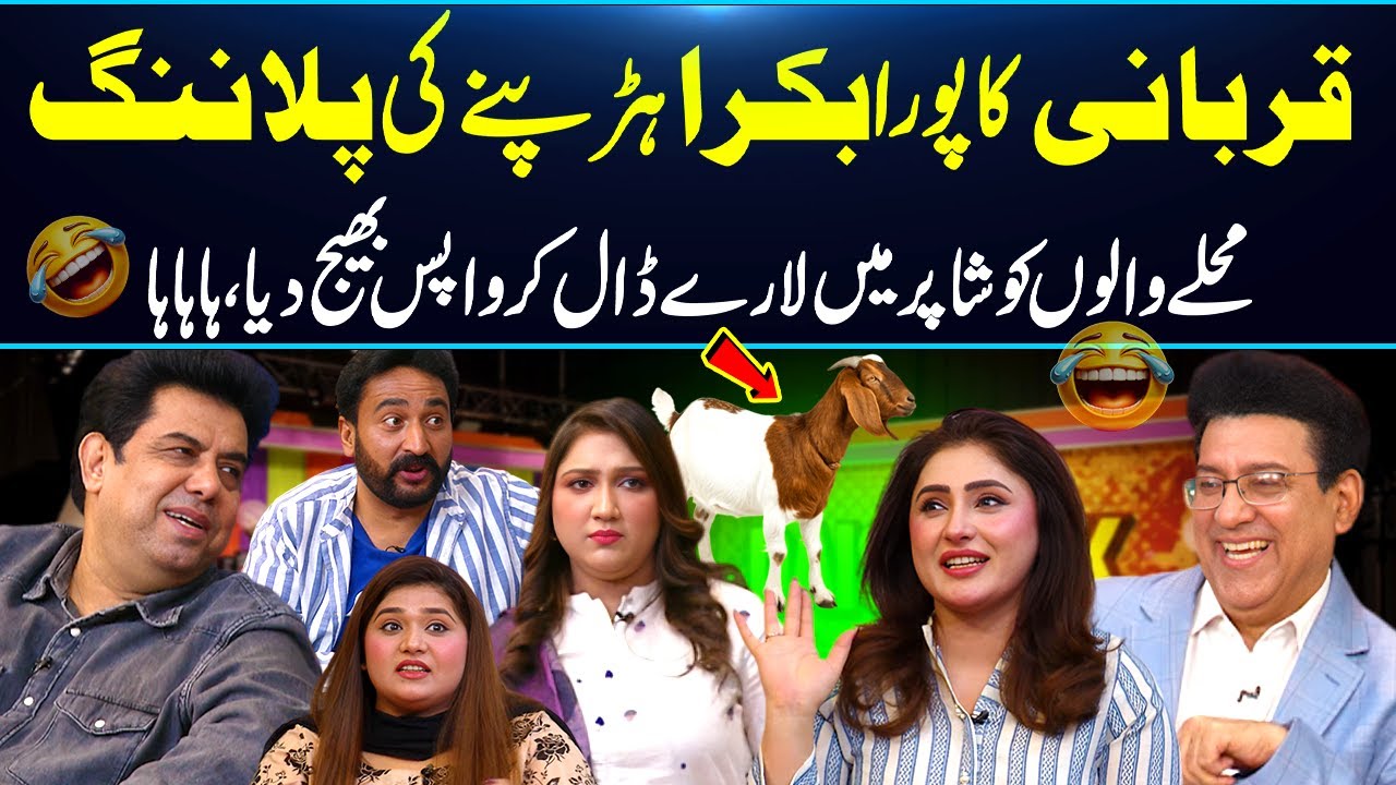 Qurbani ka Pura Bakra Harapne ki Planning😂| Muhallay Walon ko Mamu Bna Dia😂| Daisbook