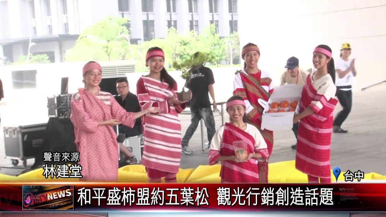 20151106 和平盛柿盟約五葉松 觀光行銷創造話題