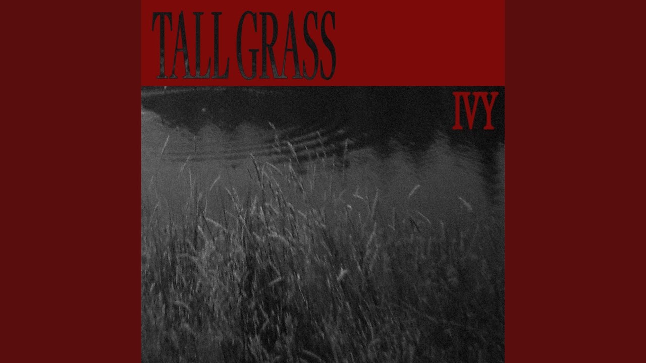 Tall Grass