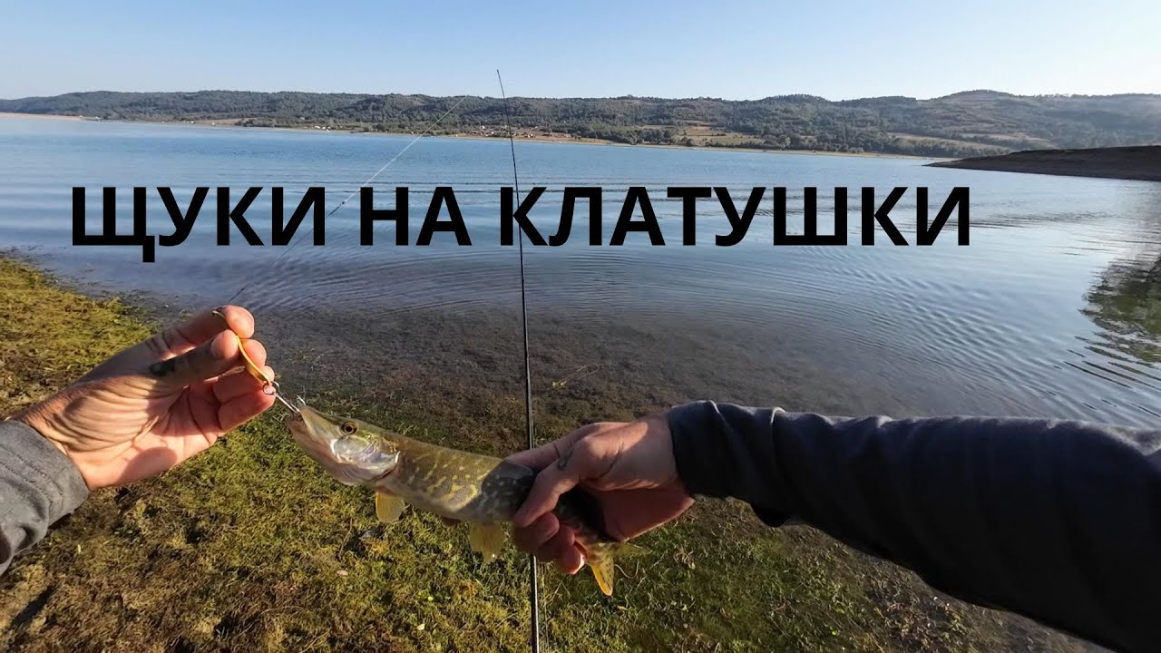 ЩУКИ НА КЛАТУШКИ