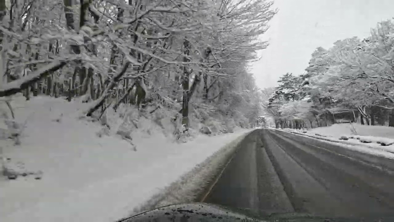 2026年2月7日午後3時頃、倍速 山中湖旭日丘交差点付近の様子