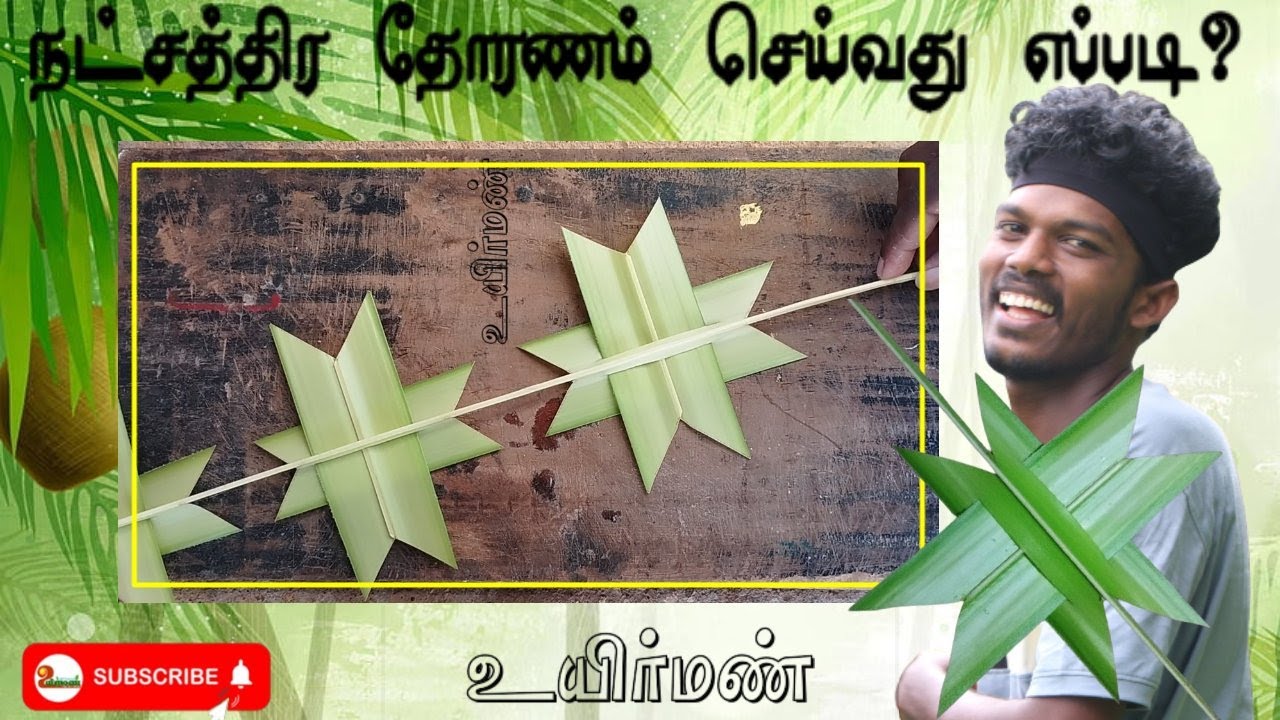 How to make a Coconut leaf star toran/ நட்சத்திர தோரணம்/ Leaf craft/ DIY