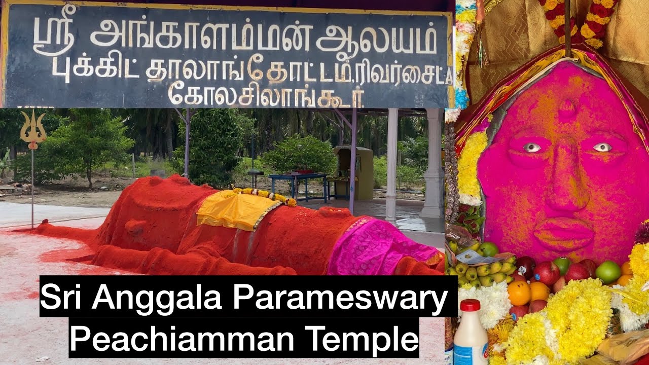 அன்னை வானைப் பார்க்கிறாள்; உலகைக் காக்கிறாள் | Sri Anggala Parameswary Peachiamman Temple