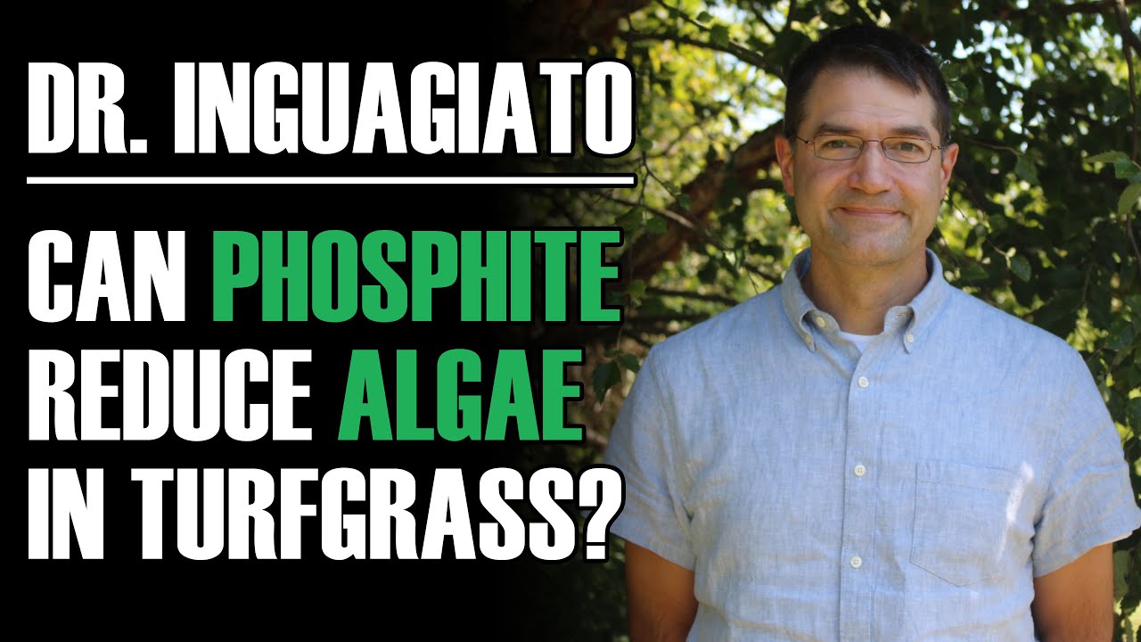 Dr. John Inguagiato. Can Phosphite Reduce Algae?