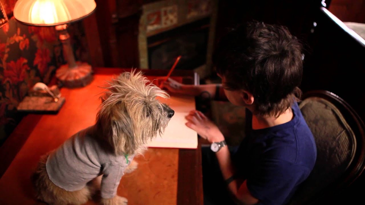A LETTER TO MY DOG, EXPLORING THE HUMAN CONDITION