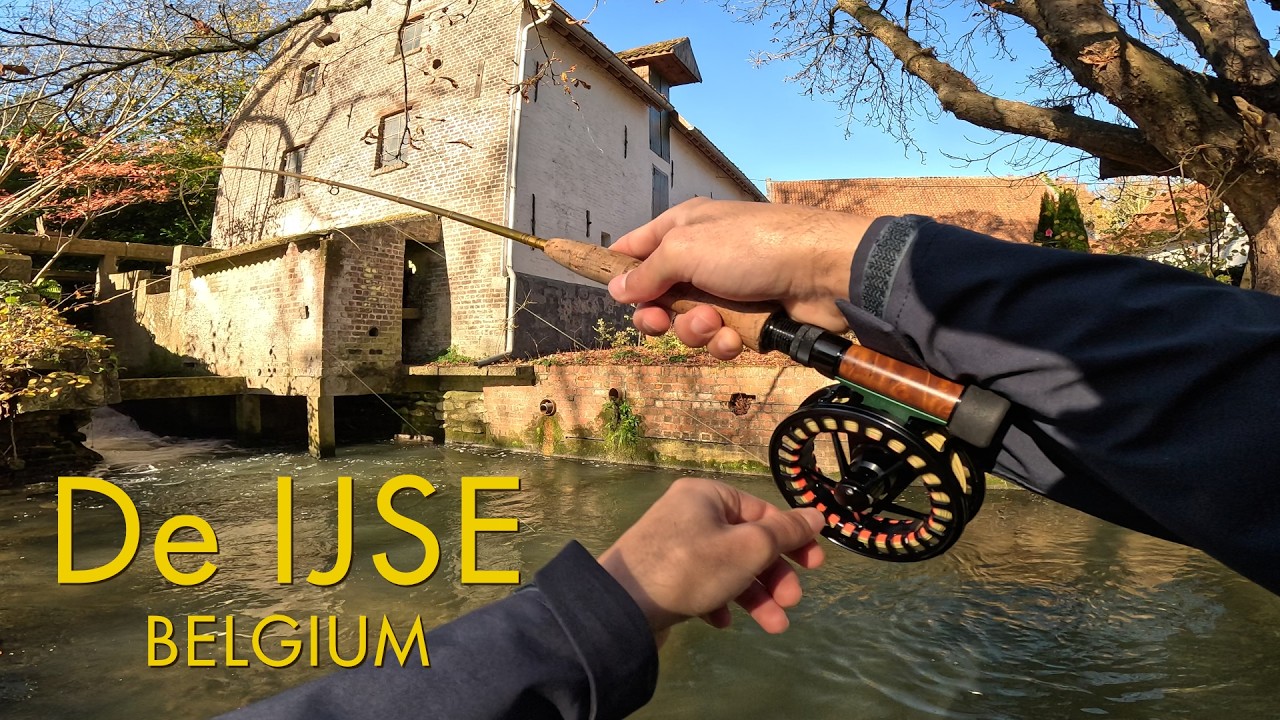 Fly fishing the Ijse on a sunny November day - How I fell into the smallest trout stream of Belgium?