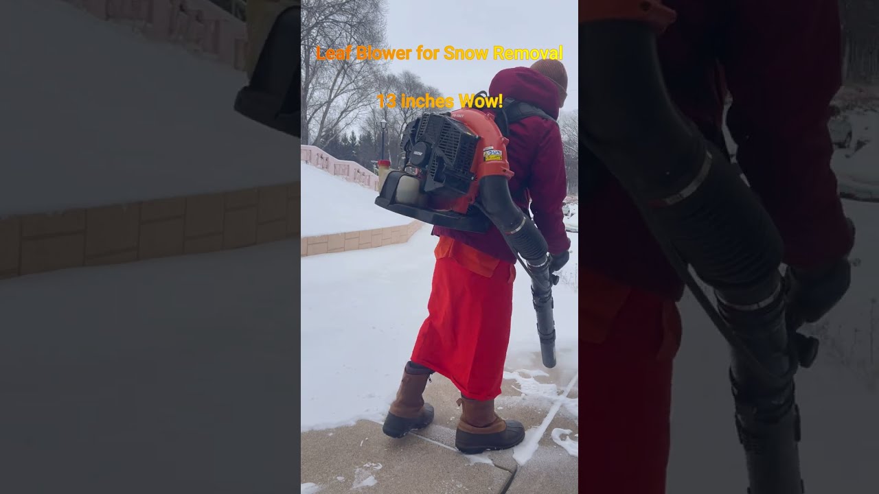Leaf Blower for Snow Removal - 13 inches Wow!​