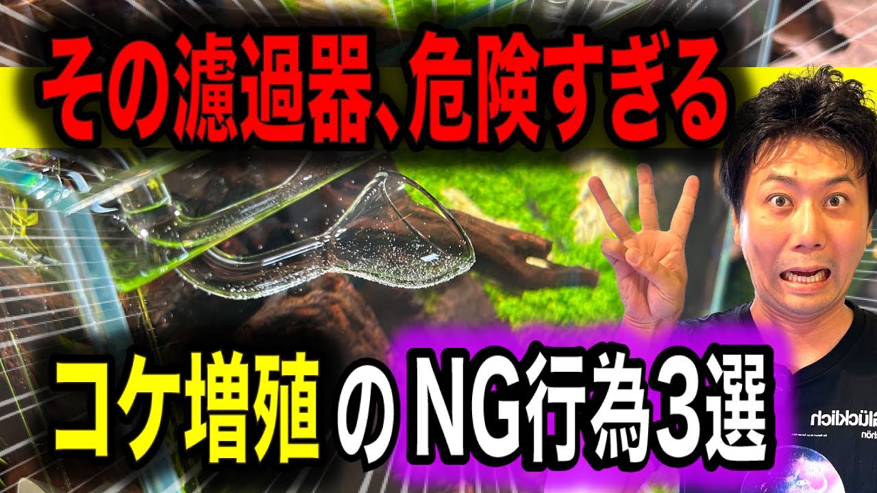 【コケが生える原因判明】ろ過器の改善で水草水槽が超簡単に綺麗になる！〜アクアリウムin地球86