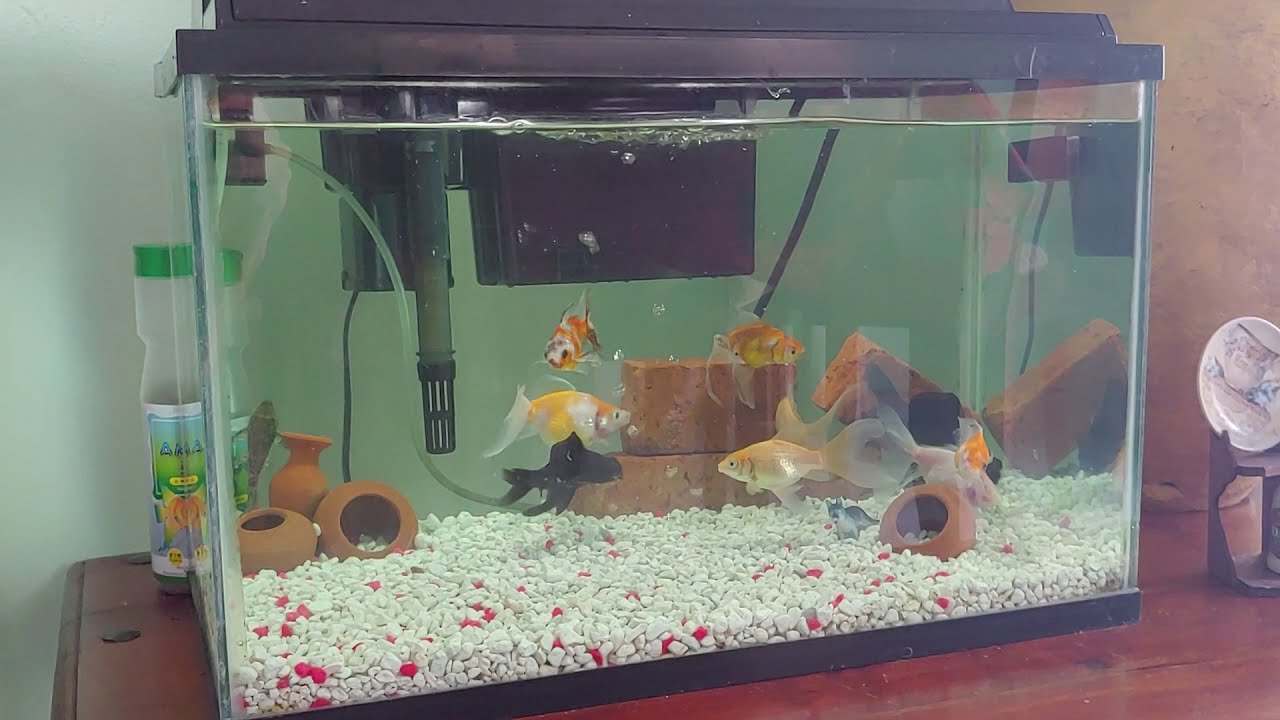 Otra opción de como modificar filtro de mochila o filtro de cascada.