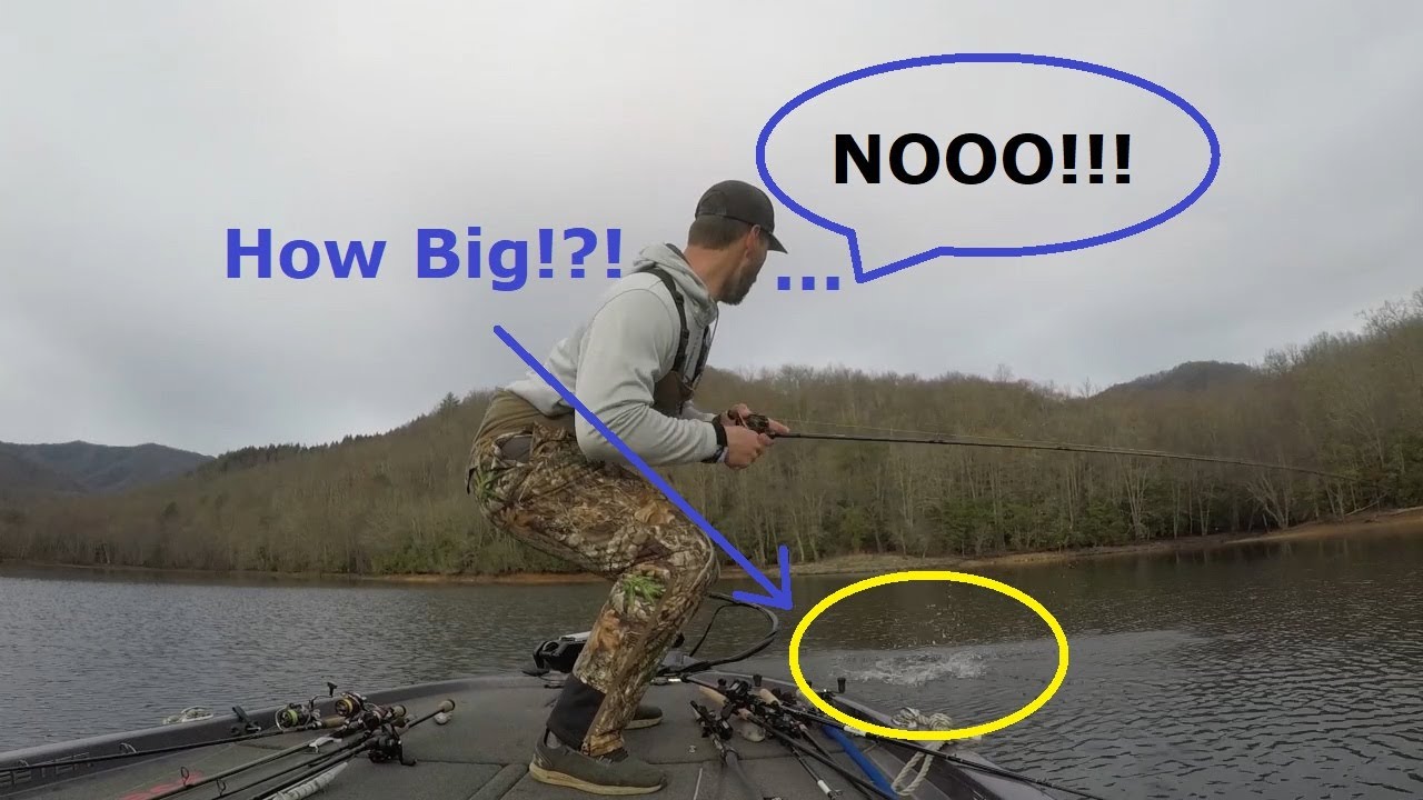 MEGABASS REPLACEMENT HOOKS?!?! Vision 110