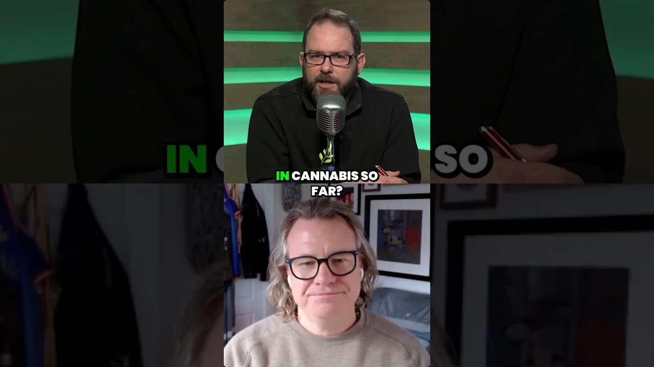 The time I ran a cannabis NFT community... and how it ended in tears.