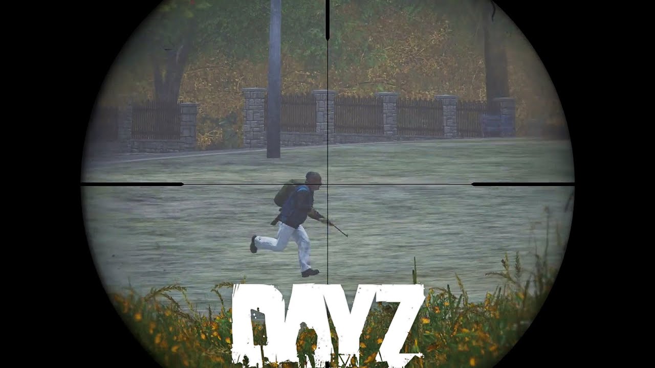 CARNAGE In BITTERROOT! (New DayZ Map)