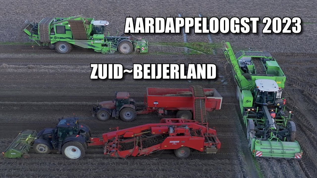 Aardappels Rooien Zuid-Beijerland ~ 2x AVR PUMA 4 & 1x Grimme GV 3000