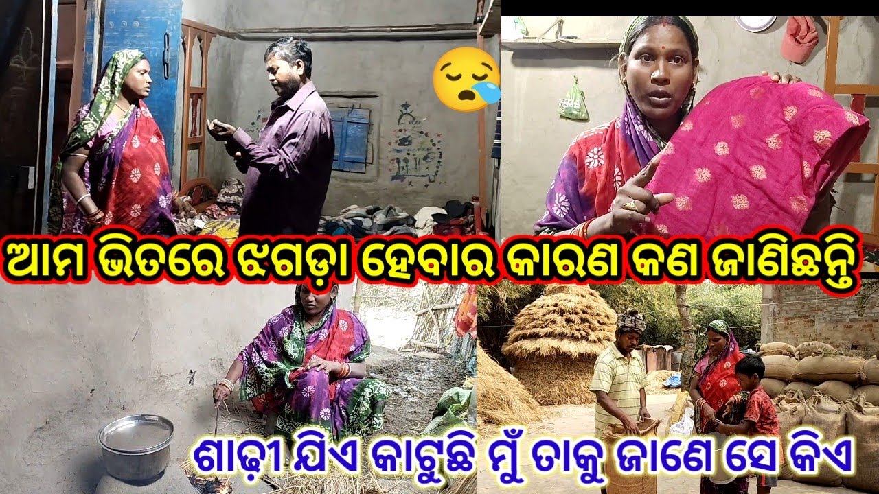 ଆଉ କେତେ ଟା ଶାଢ଼ୀ କାଟି ଲେ ସେ ଖୁସି ହେବ//Subhadra odia vlog//odia vlog 