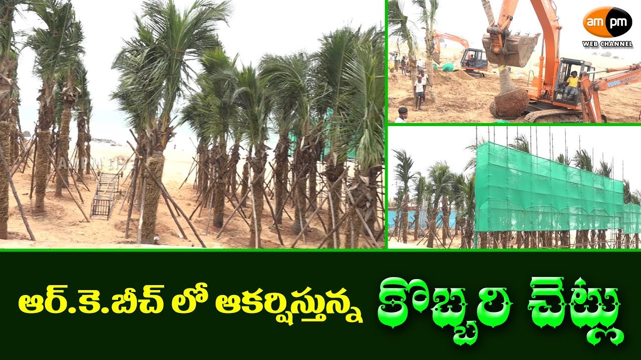 Coconut Trees Attracts Tourists in R.K.Beach || Visakhapatnam