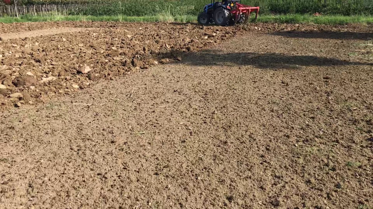 Landini 2-50 con ripuntatore FC160