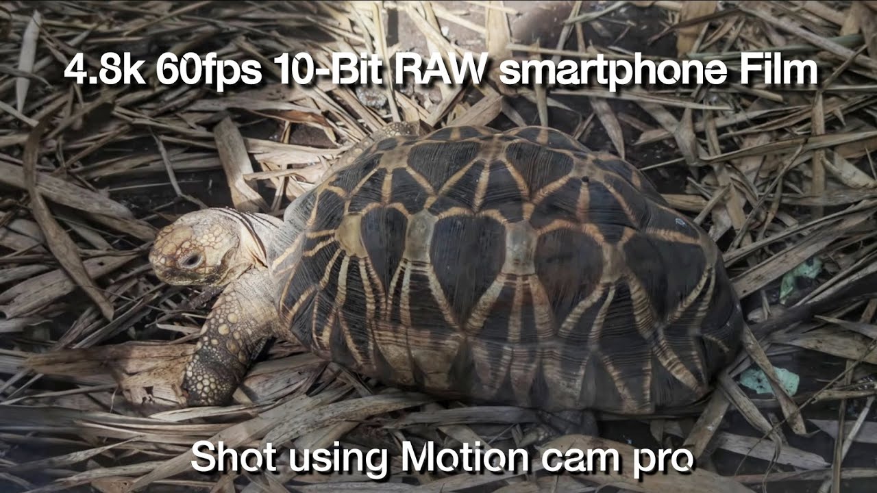 4.8K 60fps 10-Bit RAW Smartphone Film (CinemaDNG) using MotionCam Pro