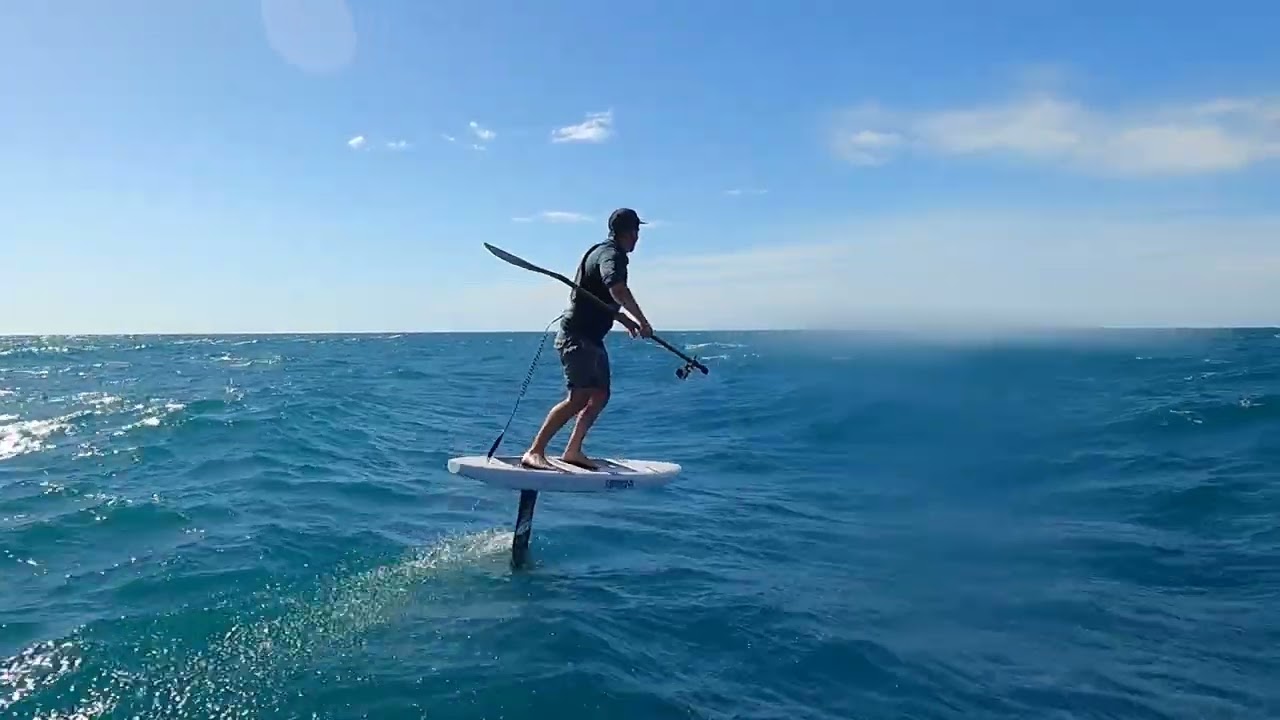 King of the Cutback
