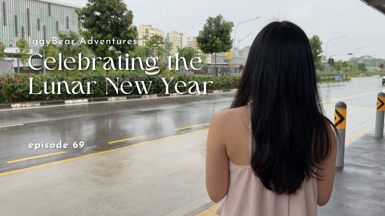 [69] Chinese New Year in Singapore: Making Ngoh Hiang and pineapple balls & my favourite snacks