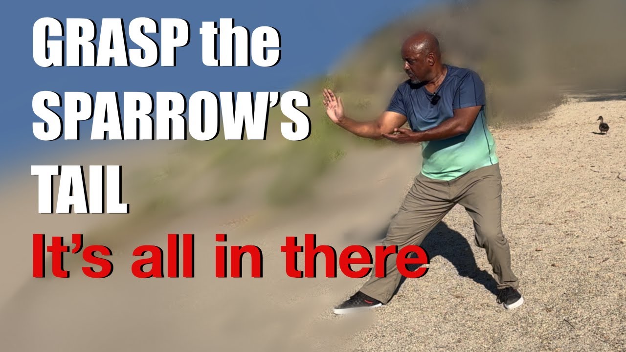 Tai Chi Grasp the Sparrow's Tail Core Movement Exercise: All Levels