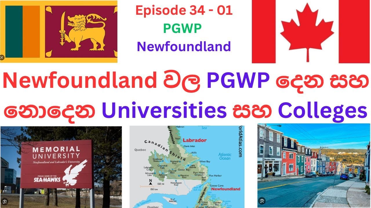 Newfoundland  ප්‍රාන්තයේ PGWP ගැන ඉගෙන ගනිමු.  PGWP in Newfoundland.
