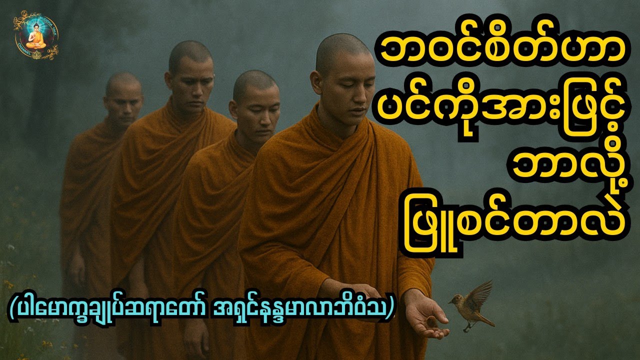 ဘဝင်စိတ်ဟာပင်ကိုအားဖြင့်ဘာလို့ဖြူစင်တာလဲ“Why is the intrinsic mind (bhavaṅga-citta) pure by nature?”