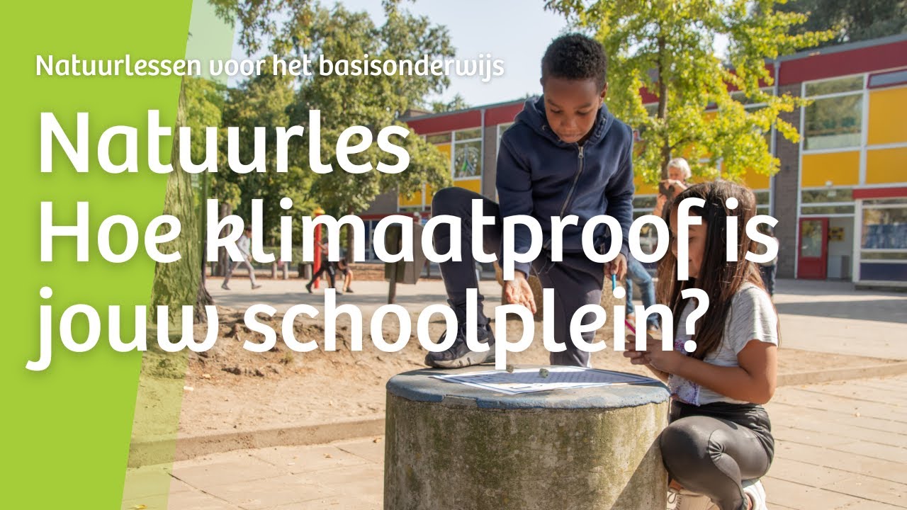 Natuurles: Hoe klimaatproof is jouw plein? [kennisfilmpje]