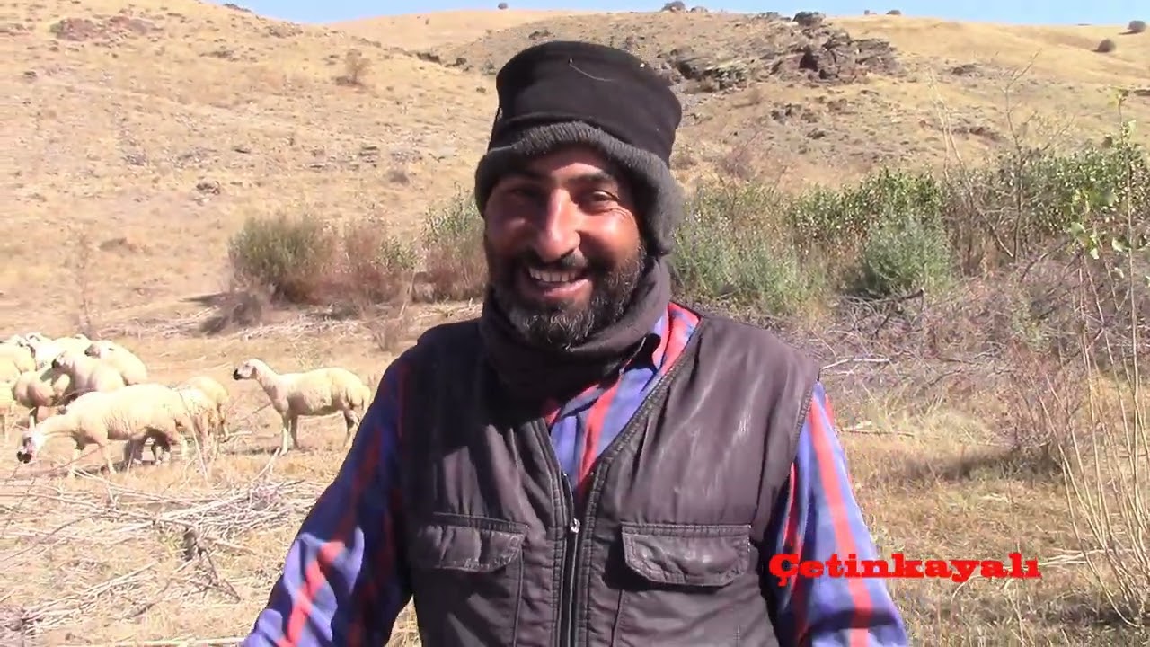 EĞRİCEK KÖYÜ DAVAR 26 10 2024